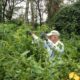 Volunteer Day and Earth Day Success!